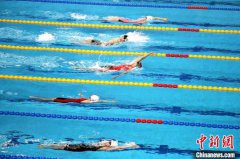 2020年全国游泳冠军赛在青岛落幕 对标东京奥运成绩亮眼